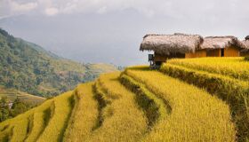 Begin your work visa-prepared day with Vietnam’s tranquil ambiance